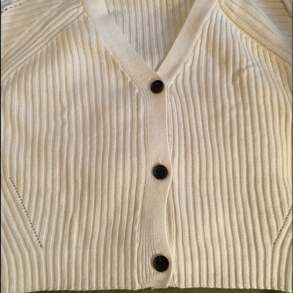 Sweater by EVRI. cropped sweater